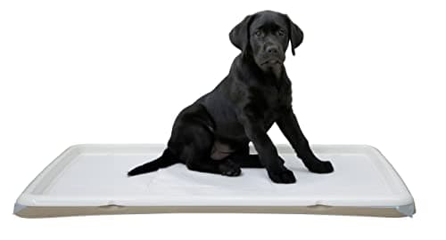KERBL PET Inodoro para Cachorros XL 60 x 90 cm, Color Blanco