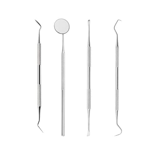 EUZUXU 4 Piezas Kit de Dentista Para Eliminar el Sarro Acero Inoxidable, Dental Cuidado Kit Diente Relleno Reparación Juego, para Adultos Niños y Mascotas