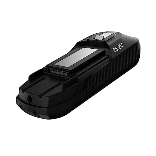 Rowenta Batería de iones de litio ZR009701 X-Force 11.60 | 25,2 voltios | 45 minutos más de experiencia de succión | compatible con X-Force Flex 11.60 RH98, TY98, EO98 | negra, gris
