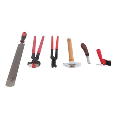 Kits de herramientas para herrador de caballos, 6 piezas de herramientas profesionales para herrar caballos, excelente mano de obra, suministros para cascos de caballos, vacas,