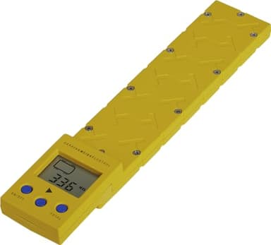 reich 522-1500 Caravan Weight Control CWC - Báscula para vehículos (hasta 1000 kg)