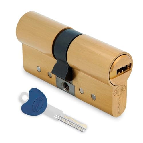 Amig - Cilindro de seguridad | Fabricado en Latón | Medida: 62 mm (31-31) | Protección Antitaladro y Anti-Bumping | Acabado: Mate