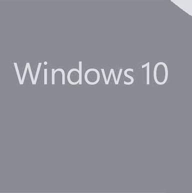 W indows 10 Professional