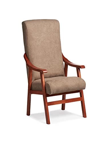 Gasten a Gusto Silla con Brazos. Especial para geriátrico, Personas Mayores con la Espalda Recta. Tapizado en Tela o Polipiel. Color Tostado (Medidas: 115 * 55 * 68 cm.)
