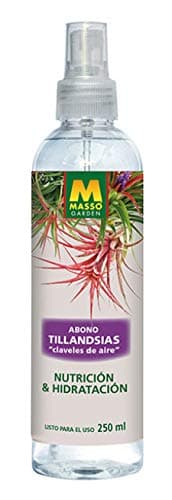 MASSO ABONO FOLIAR TILLANDSIAS "CLAVELES DE AIRE" 250 ML