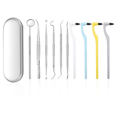 Scettar 11 Piezas Kit de Dentista Para Eliminar el Sarro, Kit Limpieza Dental Quita Sarro Dental Sarro Dental Limpiador Dental Cuidado Kit con estuche, Diente Relleno Reparación Juego Acero Inoxidable