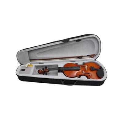 Jzoowar ViolíN 4/4, Instrumentos Musicales para Adultos, ViolíN Infantil, con Estuche RíGido, Principiantes