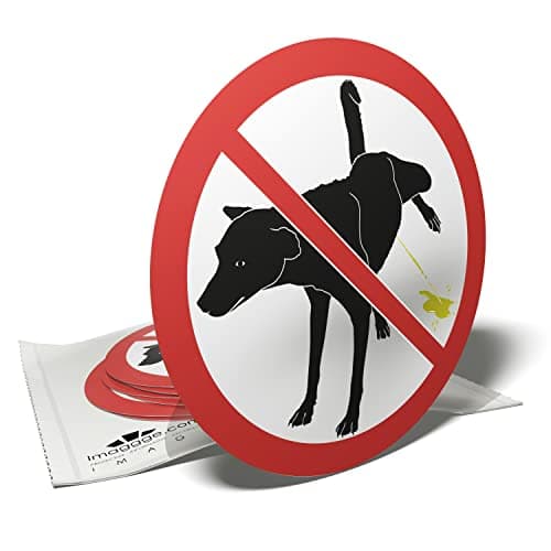 Pegatina de perro prohibido para pipi – No dejar que los perros orinen – 6 pegatinas redondas – 9,5 cm