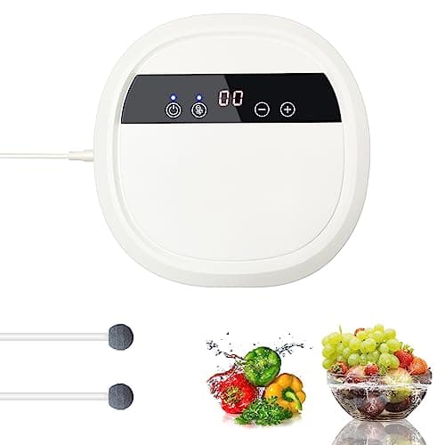 Generador de Ozono para agua y aire, Purificador de aire de iones negativos, Purificador de ozono para limpiar frutas, verduras y carnes, eliminar olores para hogar y coche con 12V adaptador, 600 mg/h