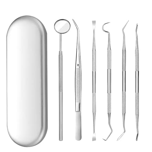 Scettar 6 Piezas Kit de Dentista Para Eliminar el Sarro, Dental Cuidado Kit con estuche, Diente Relleno Reparación Juego Acero Inoxidable Para Hombres, Mujeres, Niños y Mascota