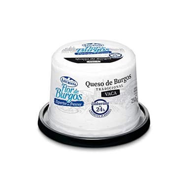 Fresco de Burgos Queso Fresco de Vaca Envase, 1 x 250 g