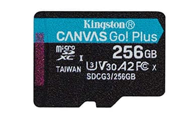 Kingston Canvas Go! Plus microSD Tarjeta de Memoria Categoria 10, UHS-I 256GB microSDXC 170R A2 U3 V30 Single Pack sin ADP