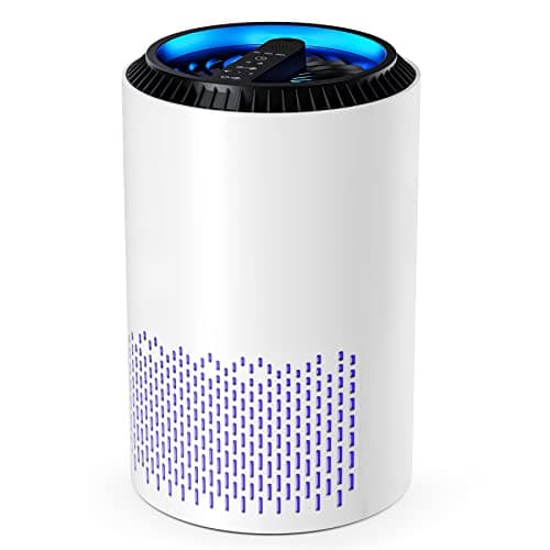 CONOPU Purificador de Aire de Hogar, Purificador Aire con Filtro de Alta Eficiencia, purificador de aire para alergias con Función de Temporizador, Air Purifier con 3 modos de velocidad