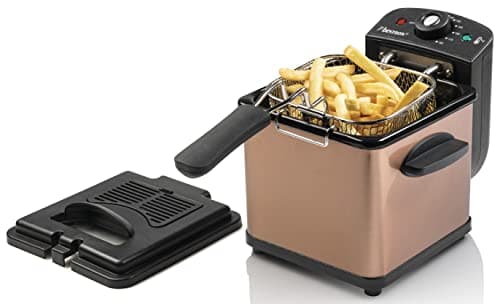 Bestron Freidora de aceite, mini freidora para 1 ración de patatas fritas, pescado o nuggets, incl. tecnología de zona fría y control de temperatura hasta 190°C, con cesta de acero inoxidable, cubre