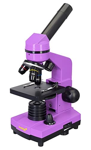 Levenhuk Rainbow 2L Amethyst Kit Stem para Niños con Microscopio Biológico Portátil de 400x, Guía Ilustrada de Experimentos Domésticos, Muestras Preparadas y Herramientas Científicas (IT)