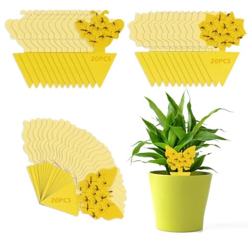 VFANDV 60 Piezas Trampas para Insectos, Trampas Adhesivas para Moscas de la Fruta Pegatinas Adhesivas de Doble Cara Papeles Pegajosos Amarillos Trampas de Moscas Atrapa Moscas