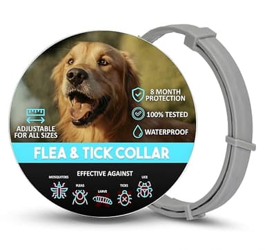 Collar Antipulgas Perros - Collar Antiparasitario Perros pequeños y Grande - Collar Leishmaniosis (Mosquitos), Pulgas y Garrapatas - 8 Meses - 63cm Ajustable, Repelente 100% Natural, Impermeable
