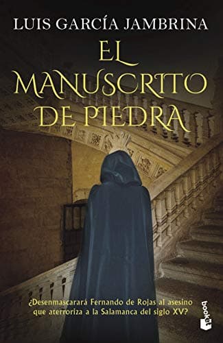 El manuscrito de piedra: Los manuscritos, 1 (Novela histórica)