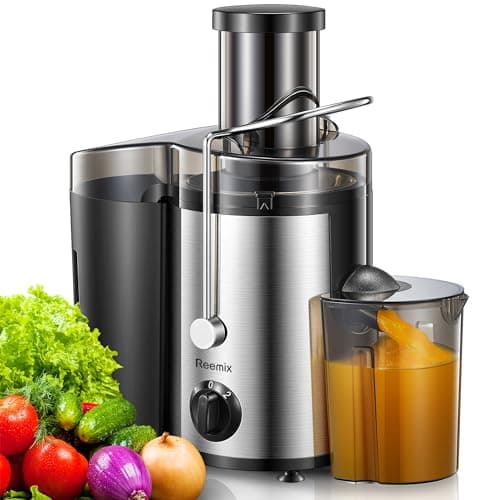 Reemix Licuadoras Para Verduras y Frutas, Licuadora de Acero Inoxidable, Fácil de Limpiar, 2 Modos de Velocidad, 65MM de Boca Ancha, Pies Nondeslizantes, Cepillo Incluido (Black, 500W)