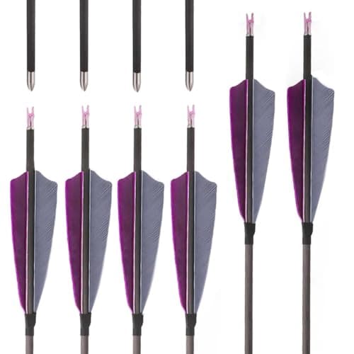12 pZ ID 4,2mm Flecha de Carbono Puro Spine 300 400 500 600 700 800 900 1000 Flecha de Caza, con 4" Pluma de Pavo Gris Púrpura, para Recurvo Arcos Compuesto Arco Tiro con Arco (29inch,Spine 1000)