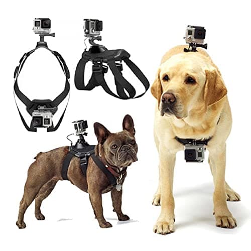 Arnés para Perros para Gopro, Suave Y Ajustable Arnés para Perros Gopro para Perros Grandes, Medianos Y Pequeños Se Puede Usar para Fijación En El Pecho Y La Espalda Adecuado