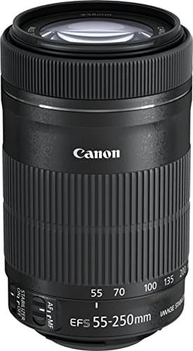 Canon EF-S 55-250 mm f/4-5.6 IS STM 8546B005 - Objetivo para Canon (distancia focal 55-250 mm, apertura f/4-32, zoom óptico 4.55x, estabilizador, diámetro: 58 mm), color negro