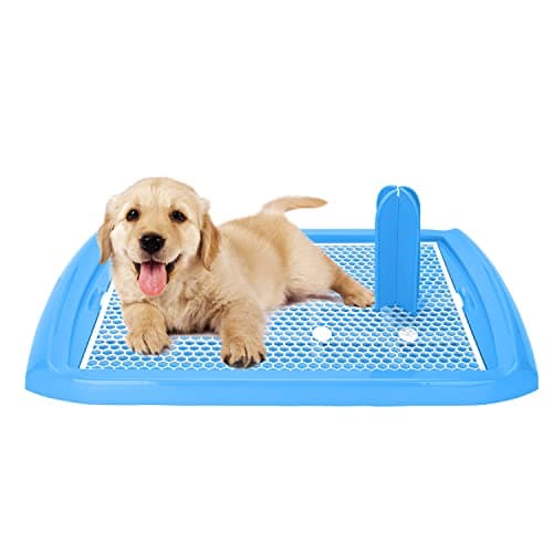 Nobleza - Bandeja de Entrenamiento WC para Perros, Soporte para Almohadilla para Mascotas, Inodoro de Plástico con Poste Extraíble para Perros y Gatos, Color Azul, Talla S, (60,5 * 39,5) cm
