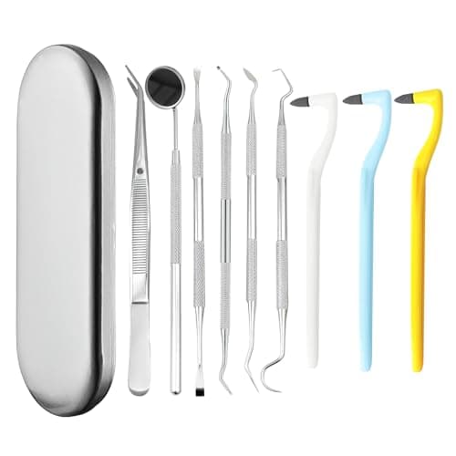 BORISCA 9 Piezas Quita Sarro Dental Kit Limpieza Dental Removedor de Sarro Dental con Estuche Aceros Inoxidables Sarro Dental Limpiador Eliminar Sarro Dental para Adultos, Niños
