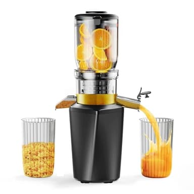 Fyenkfar extractor de zumos y verduras frío una opción ideal para bebidas saludables, adecuado para quienes aman la salud (Negro)