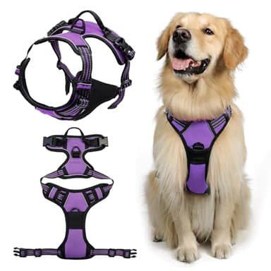 DKDDSSS Arnes Perro Arnés para Perro, Arnés Pecho Antitirones Arnes Perro Antitirones, Arnes Perro Grande Arnes para Perros, Chaleco Acolchado Ajustable, Transpirable con Cinta Reflectante, Púrpura L