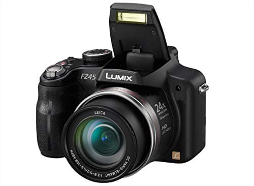 Panasonic Lumix FZ45 14.1MP - Cámara Digital Compacta 14.1 MP