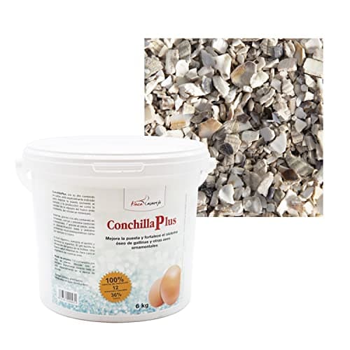 FINCA CASAREJO CONCHILLA Plus 6Kg - Conchilla de ostra para gallinas - Mejora Calidad del Huevo, Previene carencias nutricionales, Facilita digestión del Ave (Ref. XCP6)