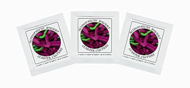 Cultivos de yogur – 3 Bolsitas de cultivo liofilizado para preparar Yogur Acidófilo