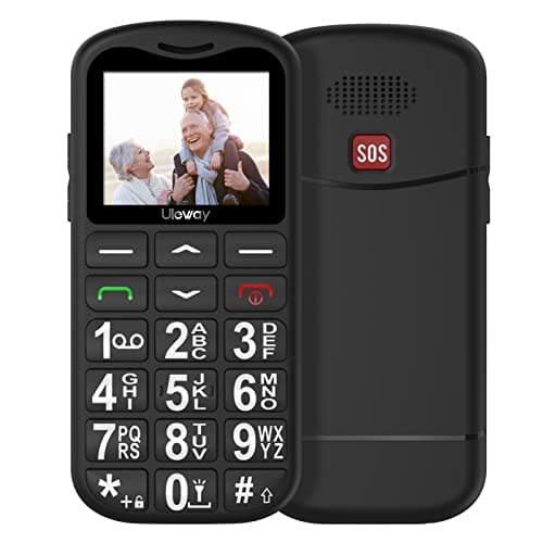 CHAKEYAKE Teléfono Móvil para Personas Mayores, Dual SIM Telefono Móvil Basico con Teclas Grandes, Alto Volumen, LinternaBotón SOS, FM Radio, Fácil de Usar Senior Teléfonos