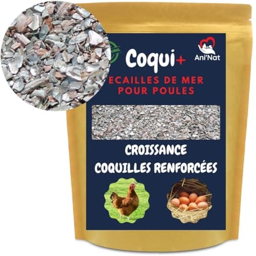 4 kg de conchas molidas para gallinas ponedoras y palomas. Más variedad de minerales que las conchas de ostras. Minerales y calcio para conchas sólidas.