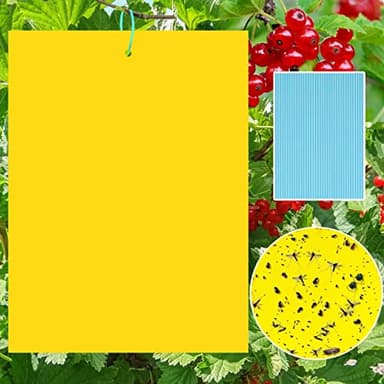Sunshine smile 40 Piezas Trampa Moscas, Pegatinas Adhesivas de Papel de Mosca Amarillas, atrapamoscas para Plantas, Trampas de Mosca pegajosas (40-Amarillo)