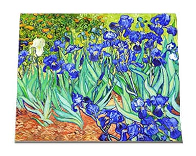WOWDECOR Kits de pintura por números para adultos y niños, pintura de números para bricolaje, flores de iris de Van Gogh, 40 x 50 cm, lienzo estampado (sin marco)
