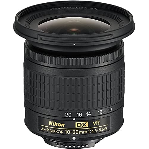 Nikon AF-P DX NIKKOR 10-20mm f/4.5-5.6G VR - Objetivo para cámara, color negro