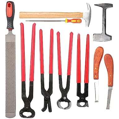EVTSCAN Herramienta de herrador de Caballos, 9 Piezas de Acero, Hierro, Herradura, Cortador de alicates, escofina para pezuñas de Caballo con Mango ergonómico, Martillo, Herramienta para pezuñas