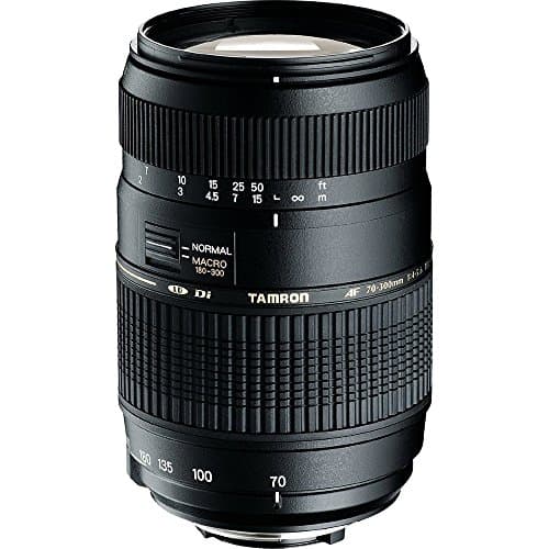 Tamron A17NII - Objetivo para Nikon (70-300mm, f/4-5.6, Macro, AF, 62 mm) color negro