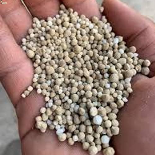 BricoLoco.com Abono complejo NPK 15-15-15. 1 Kg. Fertilizante triple 15 granulado. Para plantas de huerto y jardín, árboles, etc. 15% nitrógeno 15% fósforo 15% potasio (1, Kilogramos)