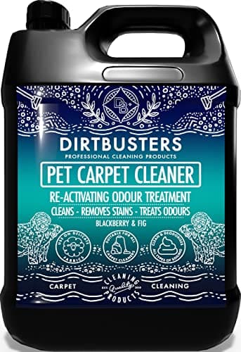 Dirtbusters Limpiador Concentrado de Moquetas, Alfombras y Tapicería para Mascotas. Elimina Manchas y Olores de Orina y Heces. Apto para Máquinas de limpieza. Aroma a Higo y Zarzamora. 1 x 5 Litros