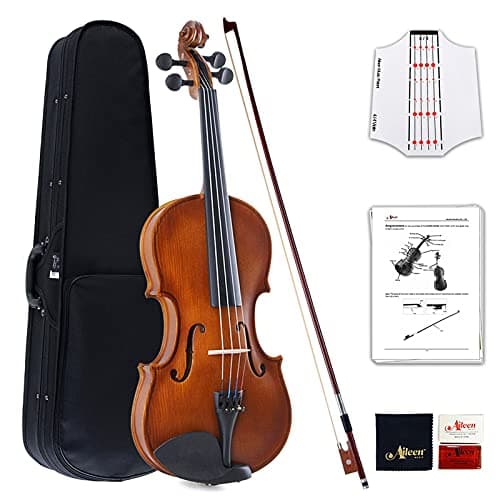 Aileen Violín 4/4 Principiante con Engomada del Tablero de Violín, Manual de Usuario, Estuche Rígido, Arco, Colofonia, Puente y Paño de Pulido