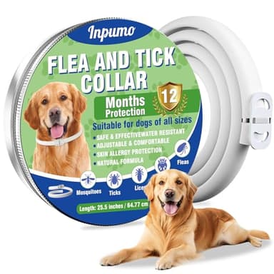 Inpumo Collar Antiparasitario para Perros, Collar Antipulgas y Garrapatas Ajustable, Resistente al Agua, Protección Eficaz para Todo Tipo de Perros, 12 Meses de Duración (1 Pack)