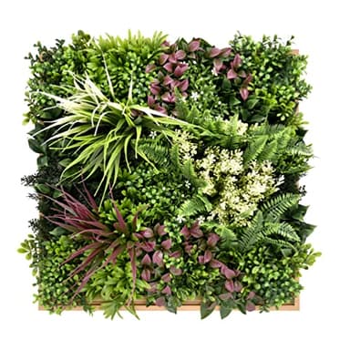BONERVA | Jardín Vertical Maldivas | Pieza 50x50cm con Marco | Planta Artificial Decorativa para hogar, Oficina, Hotel, Restaurante, etc | MAL1220