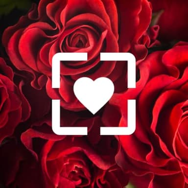 Fondos para Pantalla de Amor Gratis